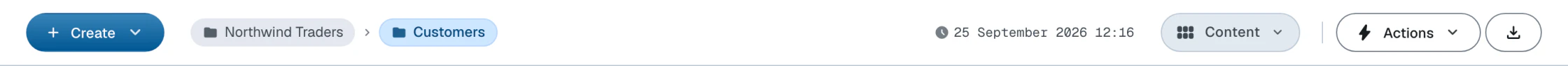 The action bar with the Create dropdown, breadcrumbs, timestamp, and the Actions, layout mode and export dropdowns